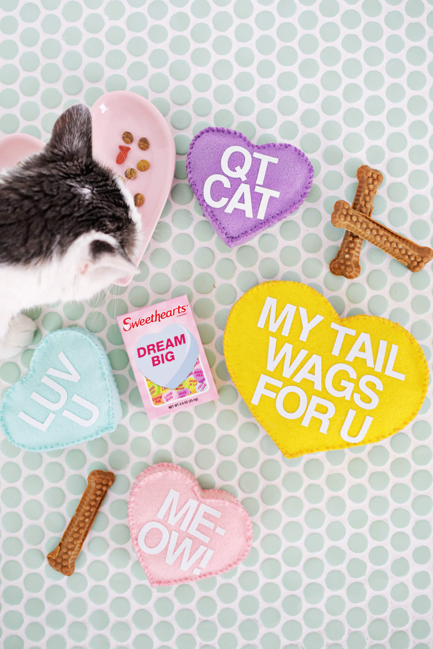 Paper Craft Pantry Blog: 2018 Valentine's D.I.Y Round Up Pet Treat Gifts