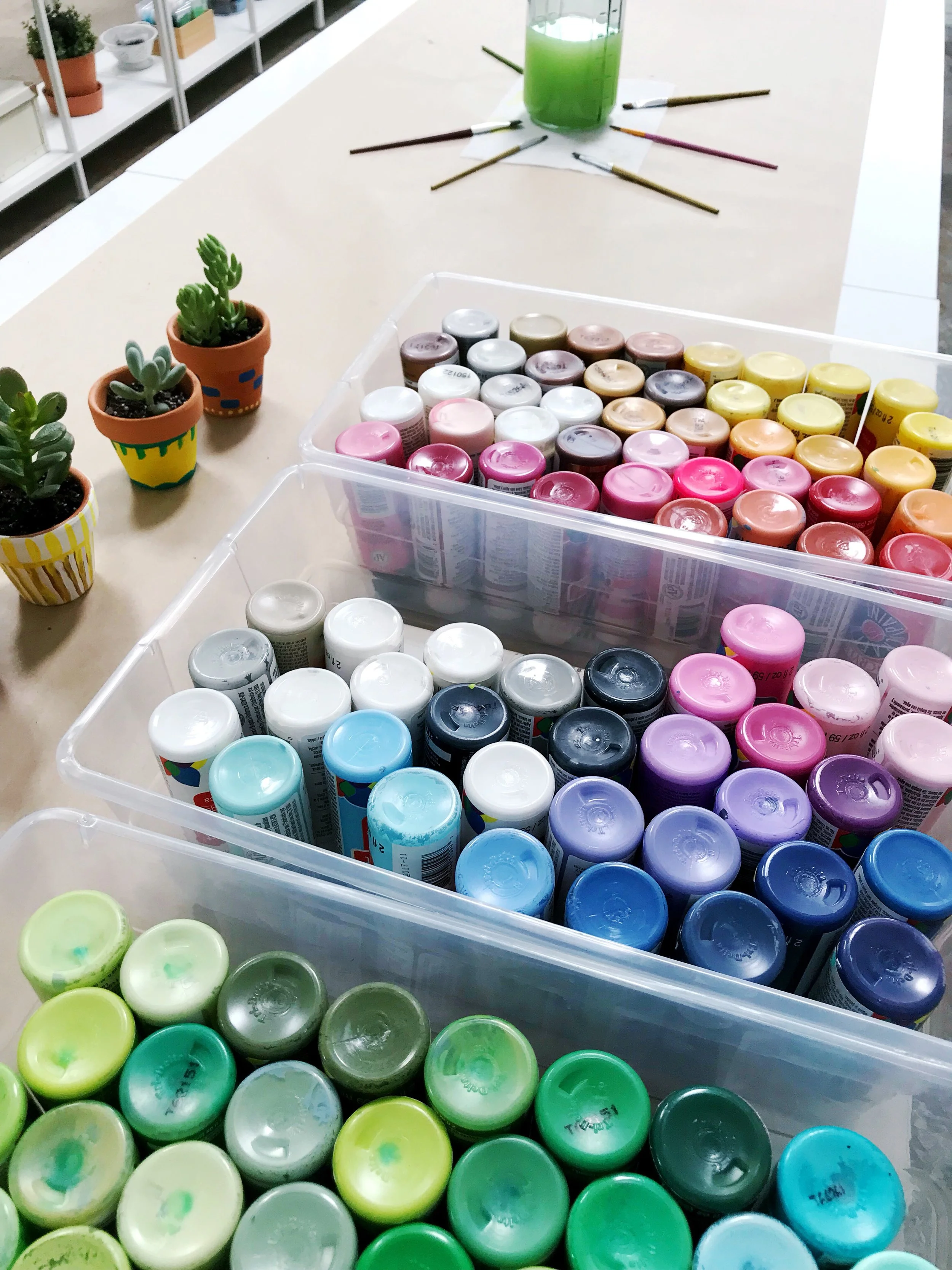 The Paper + Craft Pantry D.I.Y. Succulent Pots