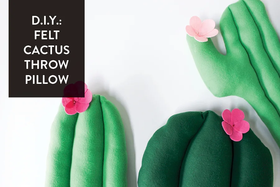 The Paper Craft Pantry: Spring Time Cactus Throw Pillows