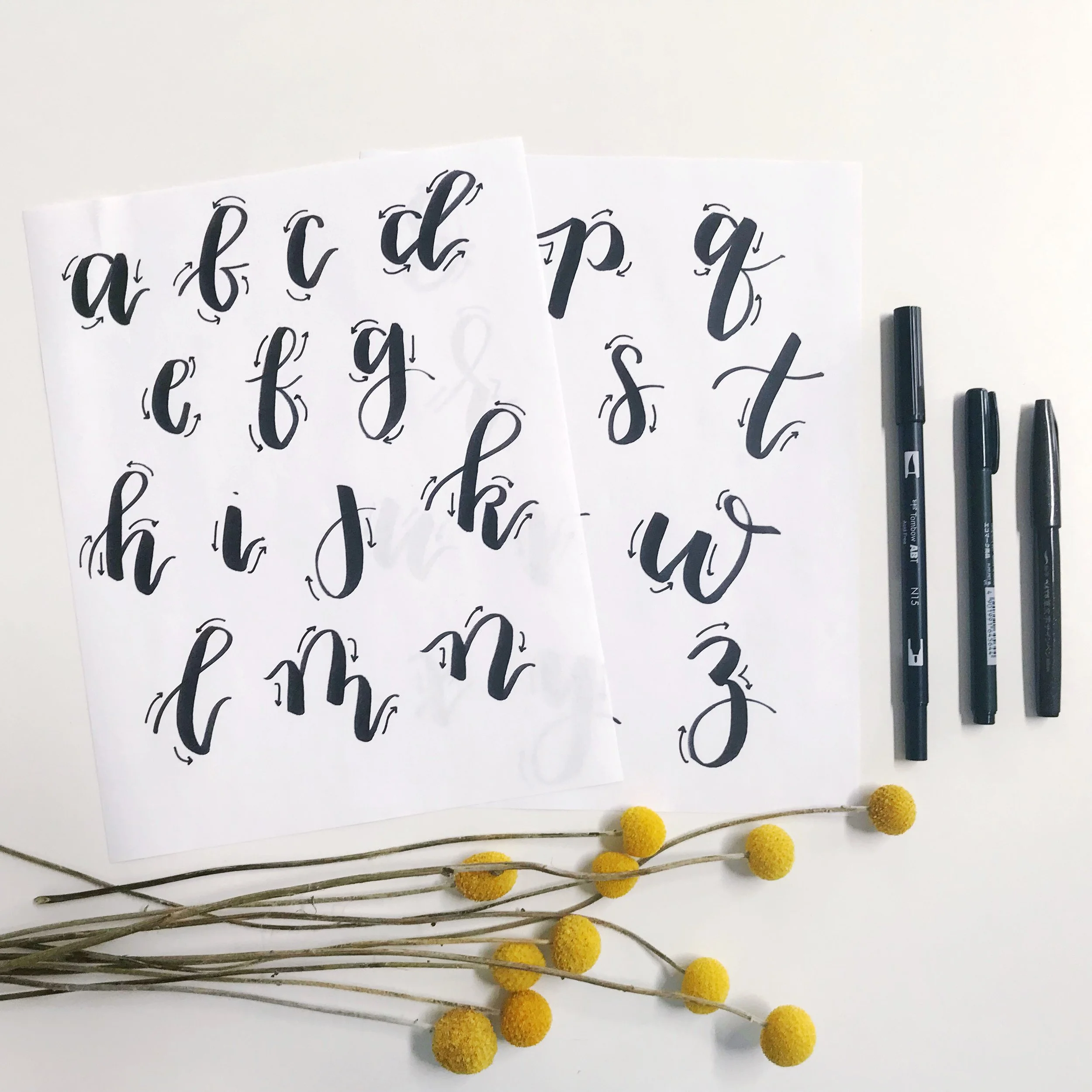 papercraftpantry-workshops-austin-intro-to-brush-lettering.jpg