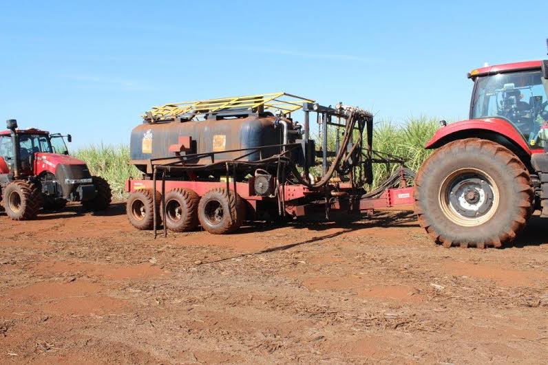 Sweet Sorghum Fertilization.png