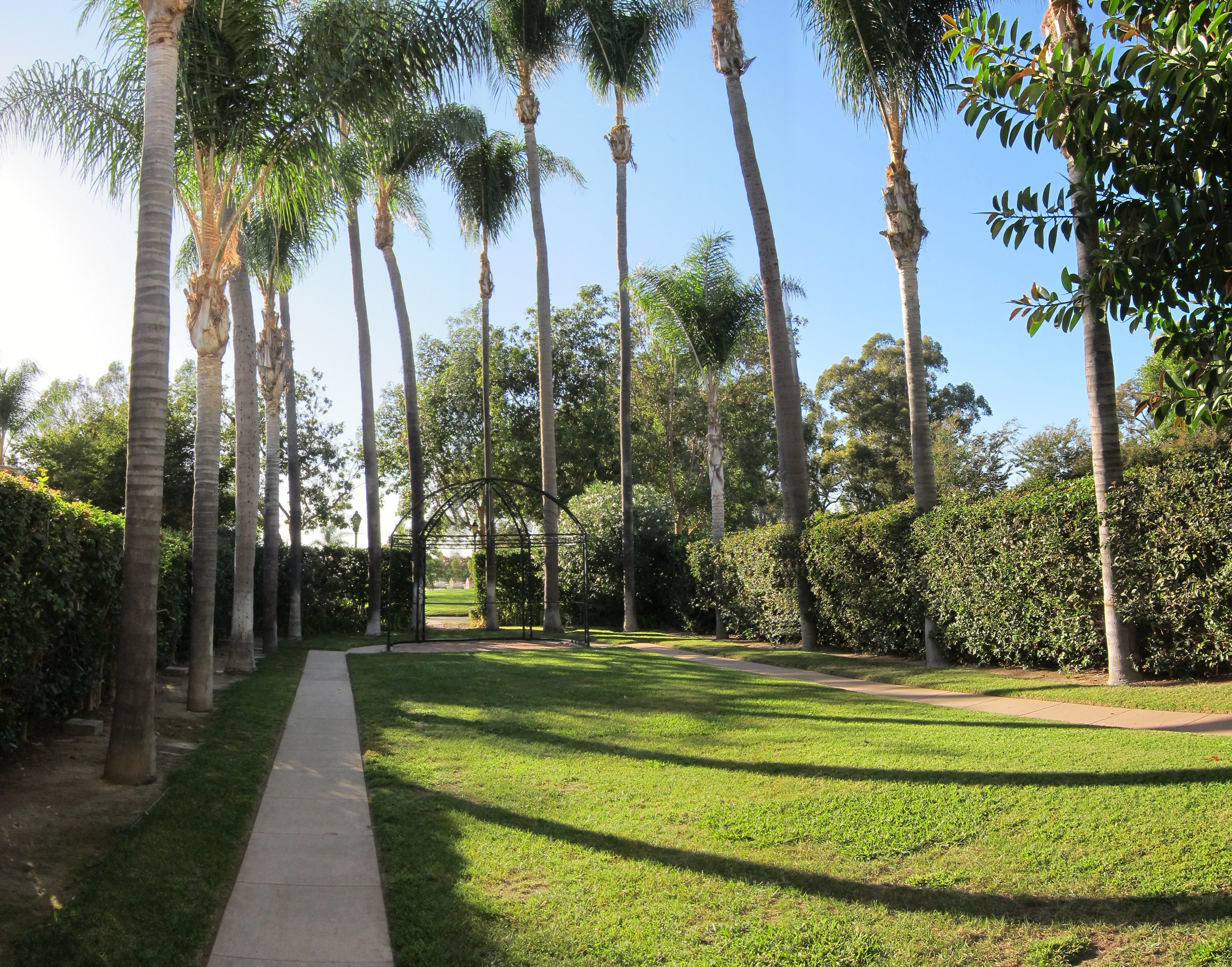 TheMuck_kpm_20121025_0014.jpg