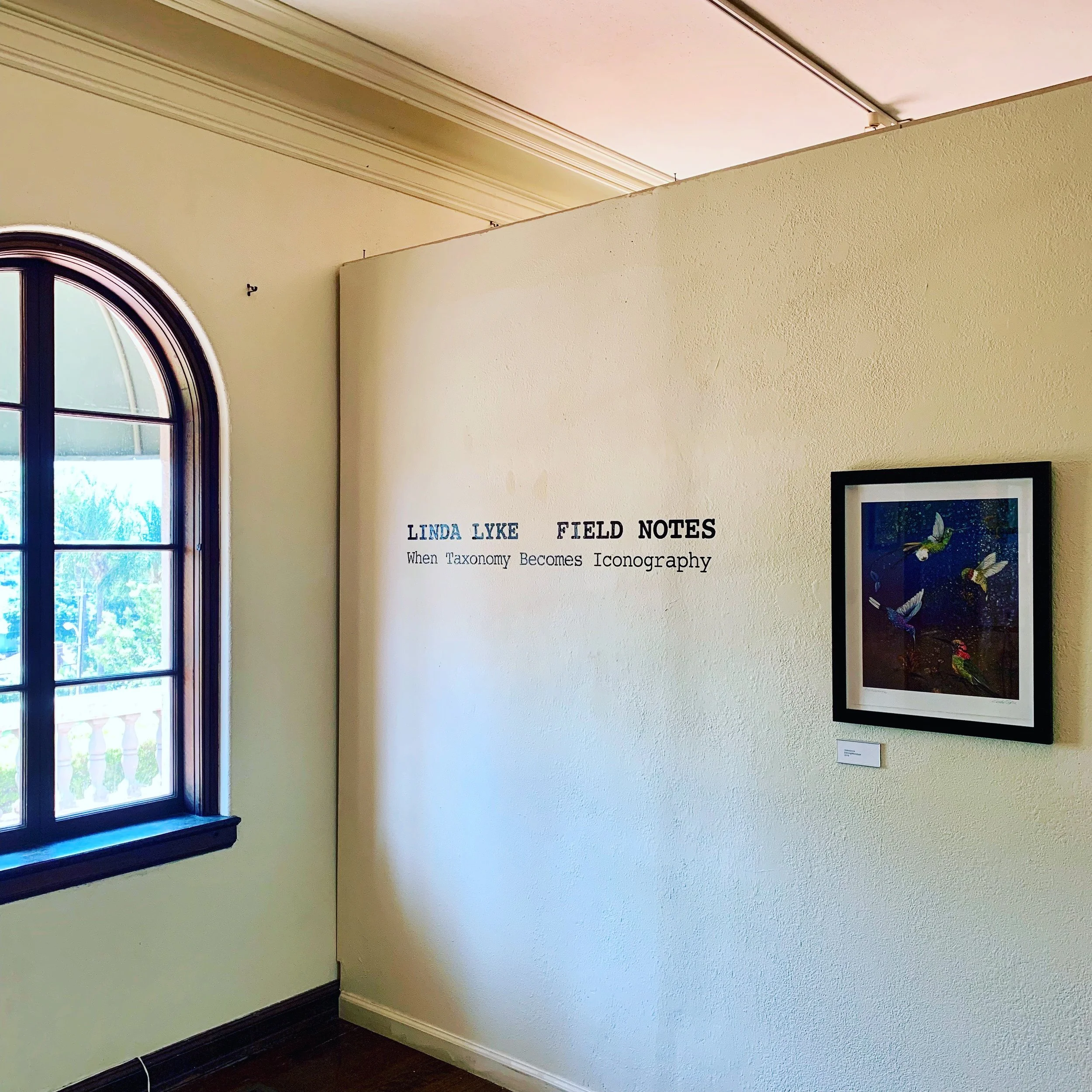 Arts Overload, July 5-11