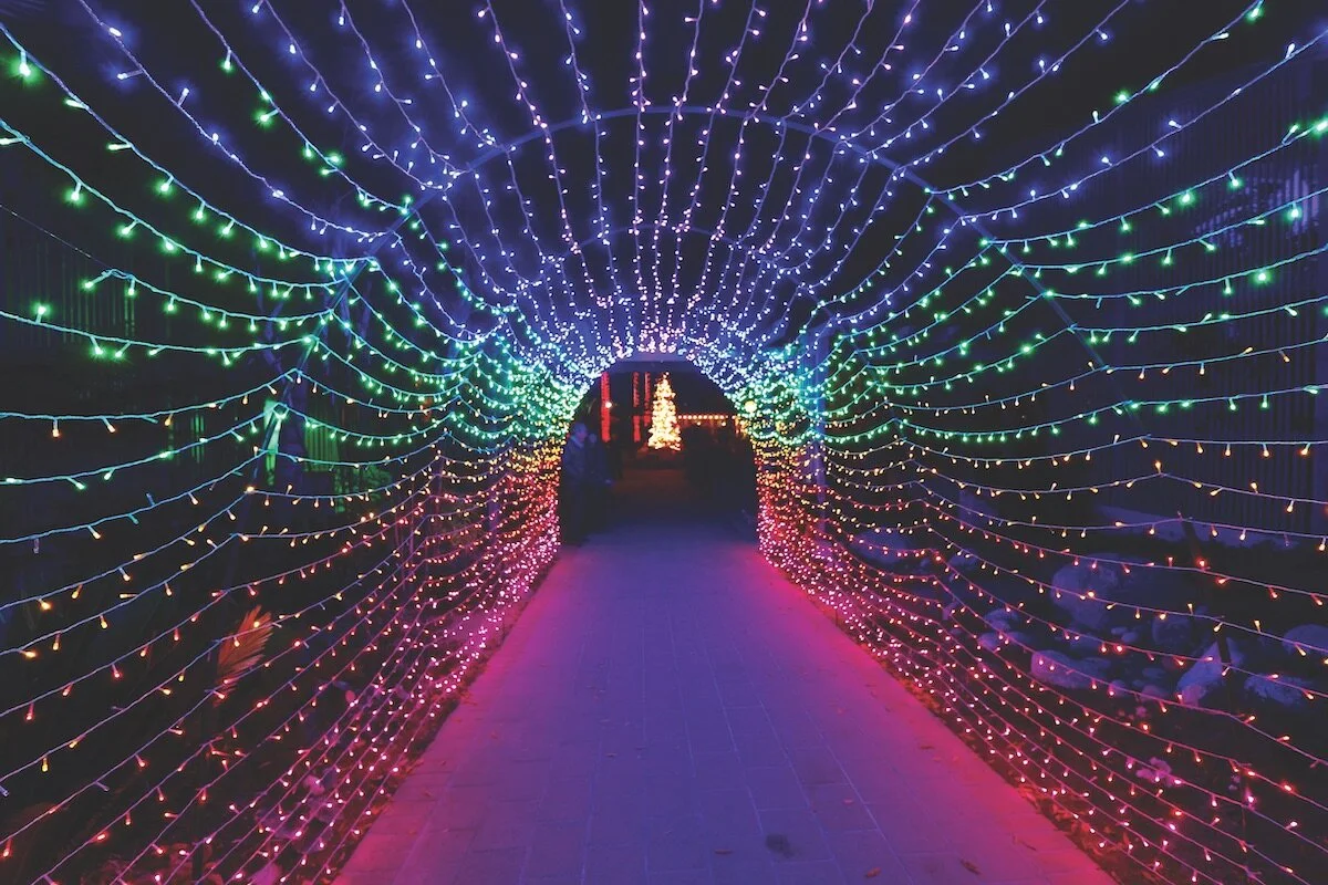 Can’t-Miss Events in Orange County This Month (December 2019)