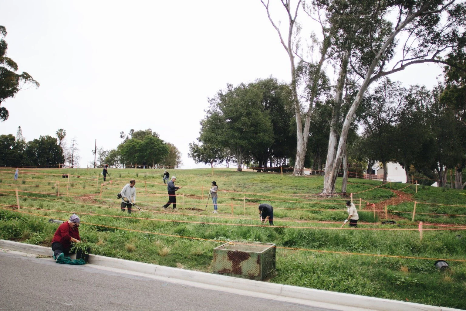 Fullerton Observer: Community Members Volunteer at the Muckenthaler Cultural Center to Celebrate Earth Day