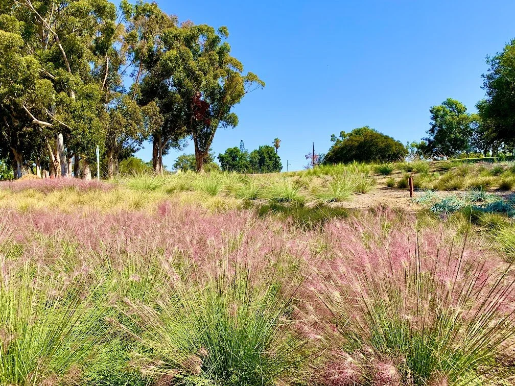 Sunset Garden Dedication