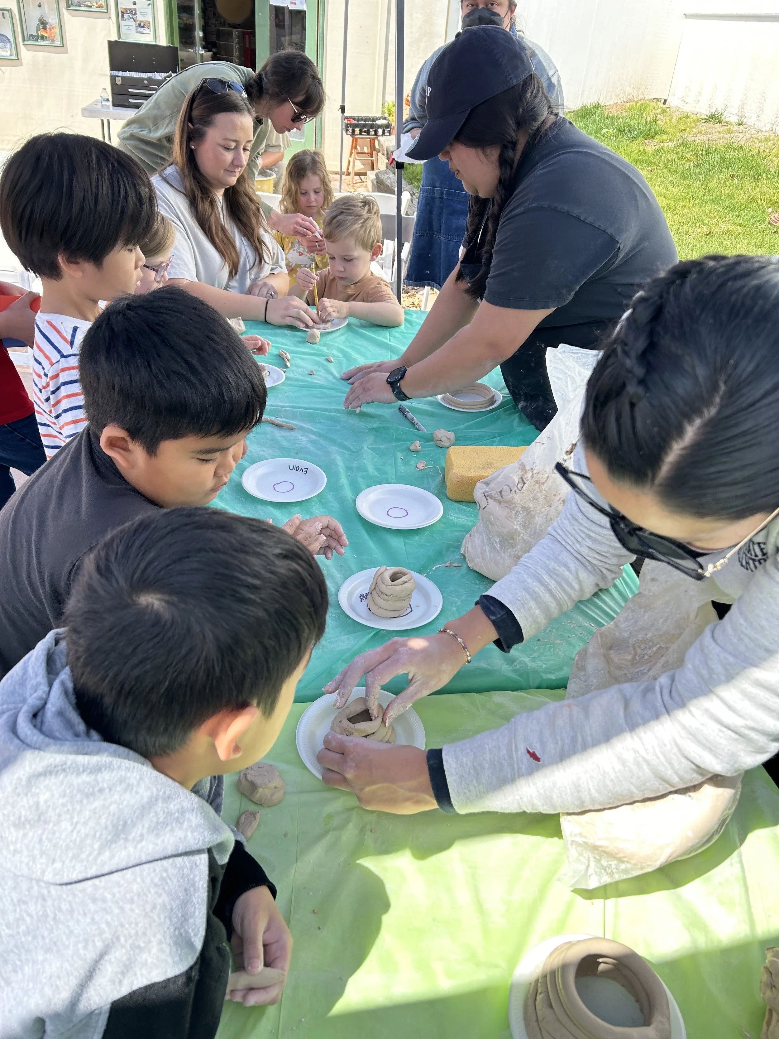ABC7: Bugs Bees and Butterflies