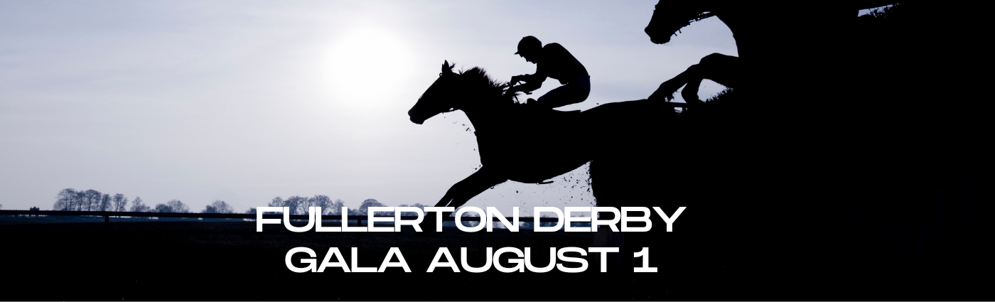 Web Banners New (3).png