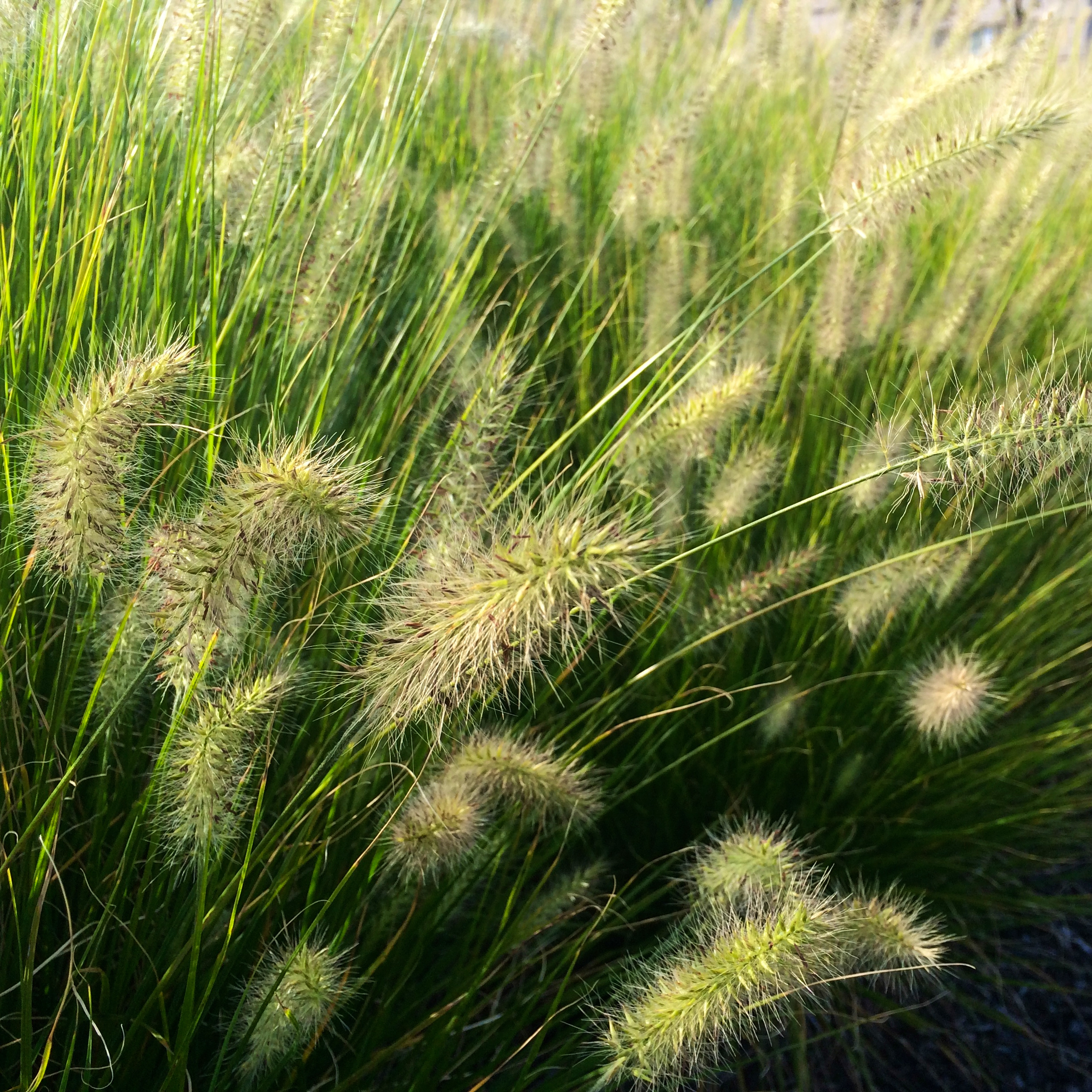 Post to Instagram - 28.jpg