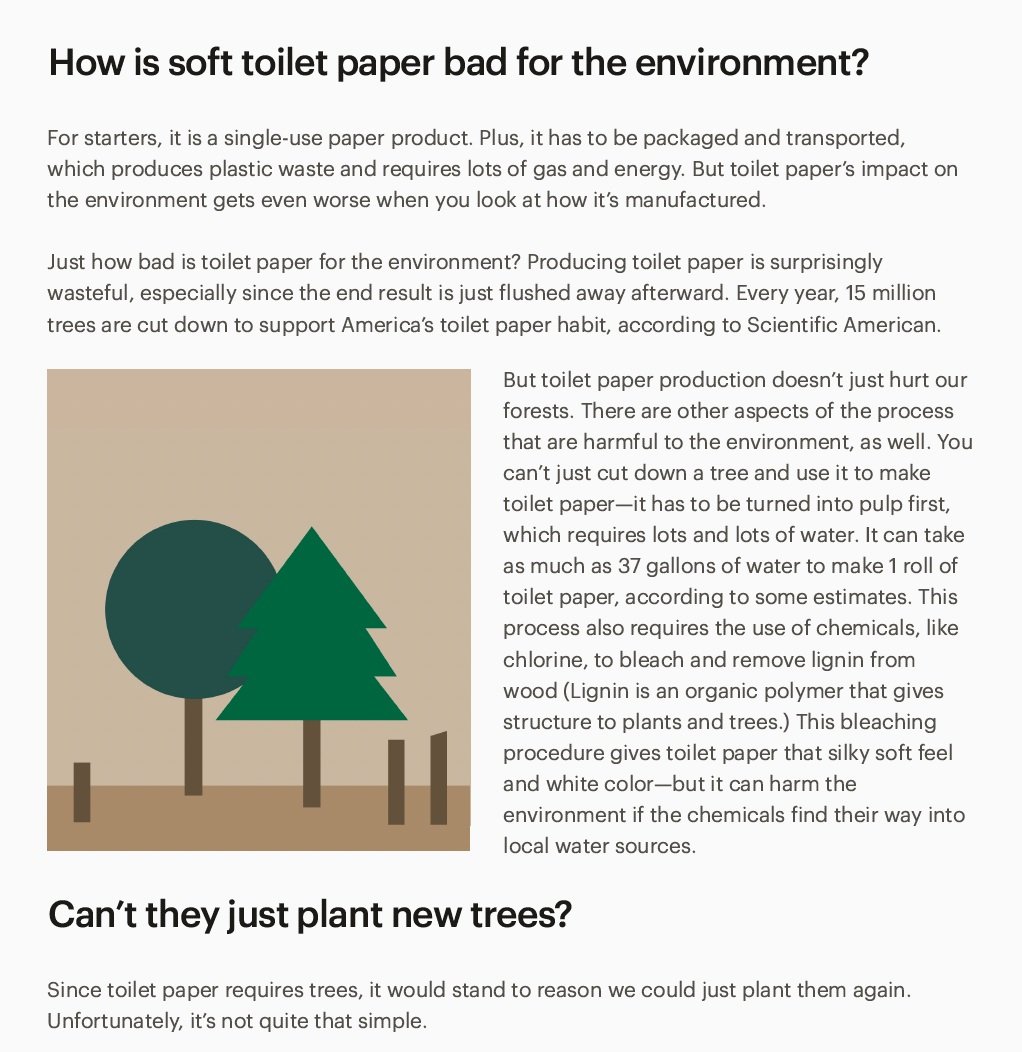 Blog on toilet paper deforrestation