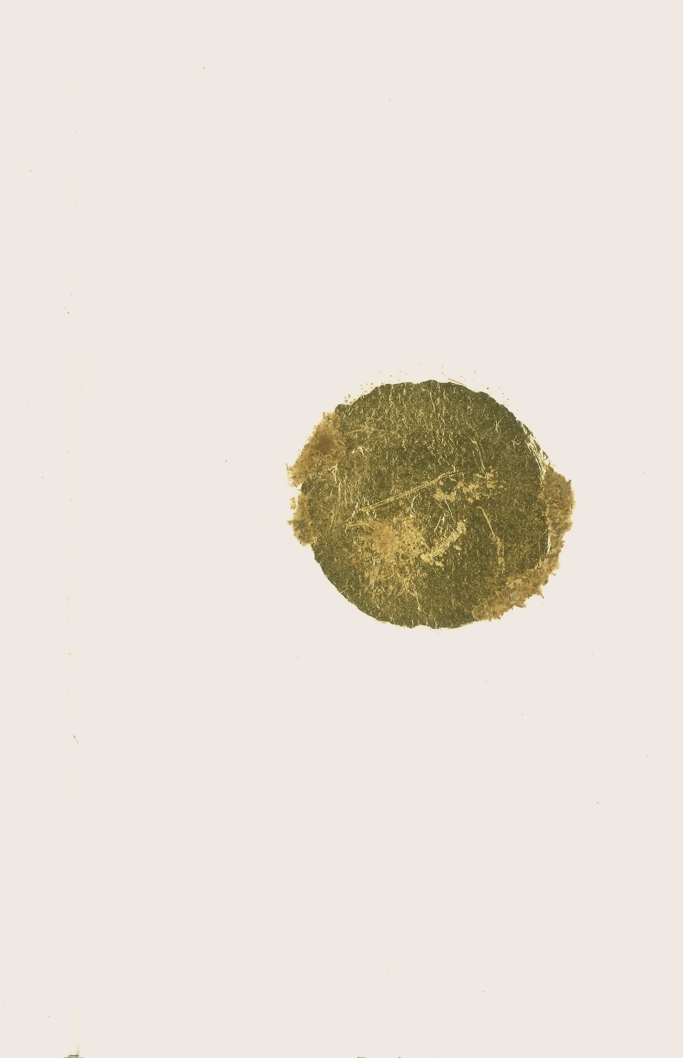 01F43BEC-82BB-4319-8282-5A54D9629F86 2.jpg