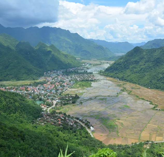 Piece In To Peace Out