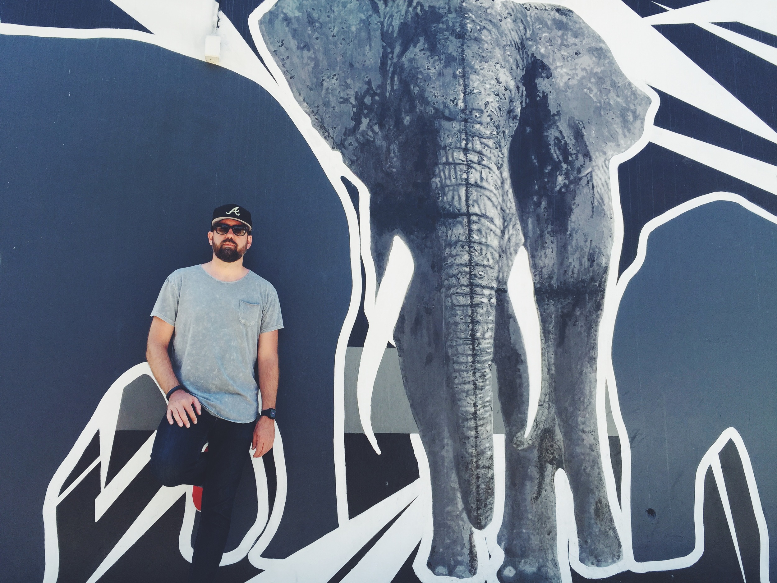 ELEPHANT IN THE ROOM