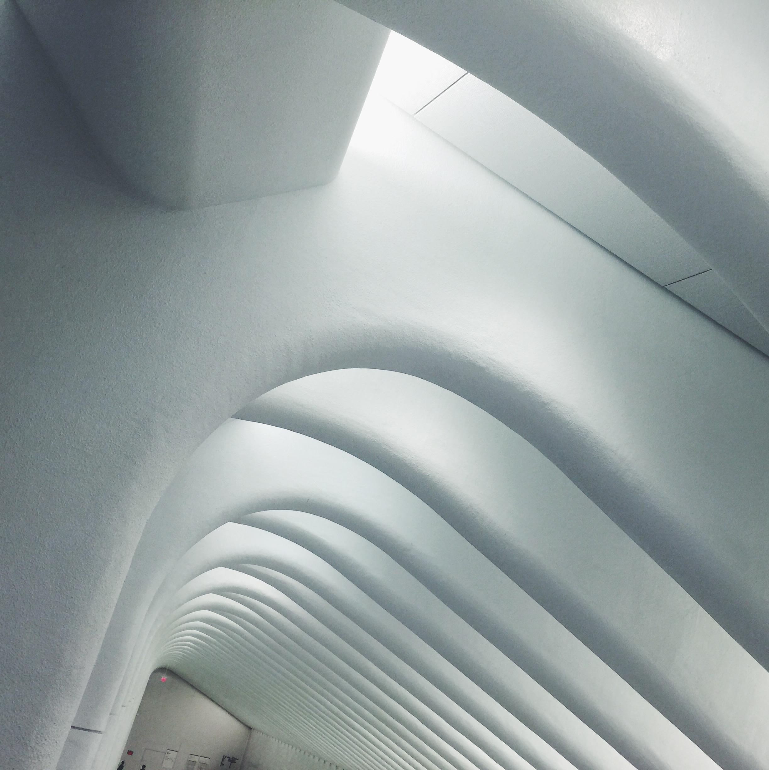 CALATRAVA's PATH STATION