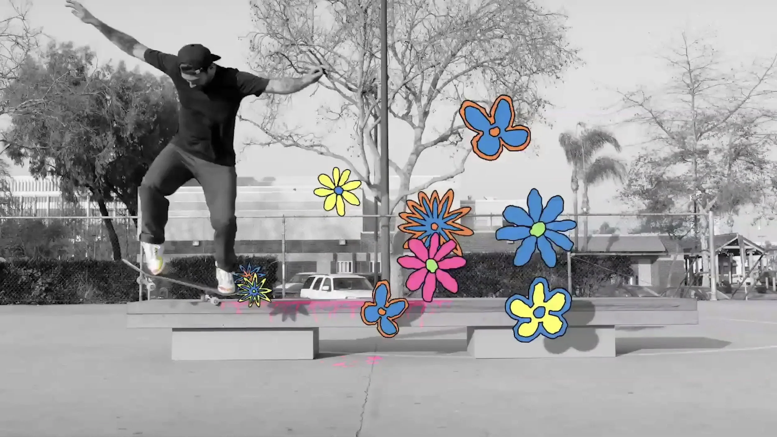 Skate board dela sol-Enhanced-.jpg