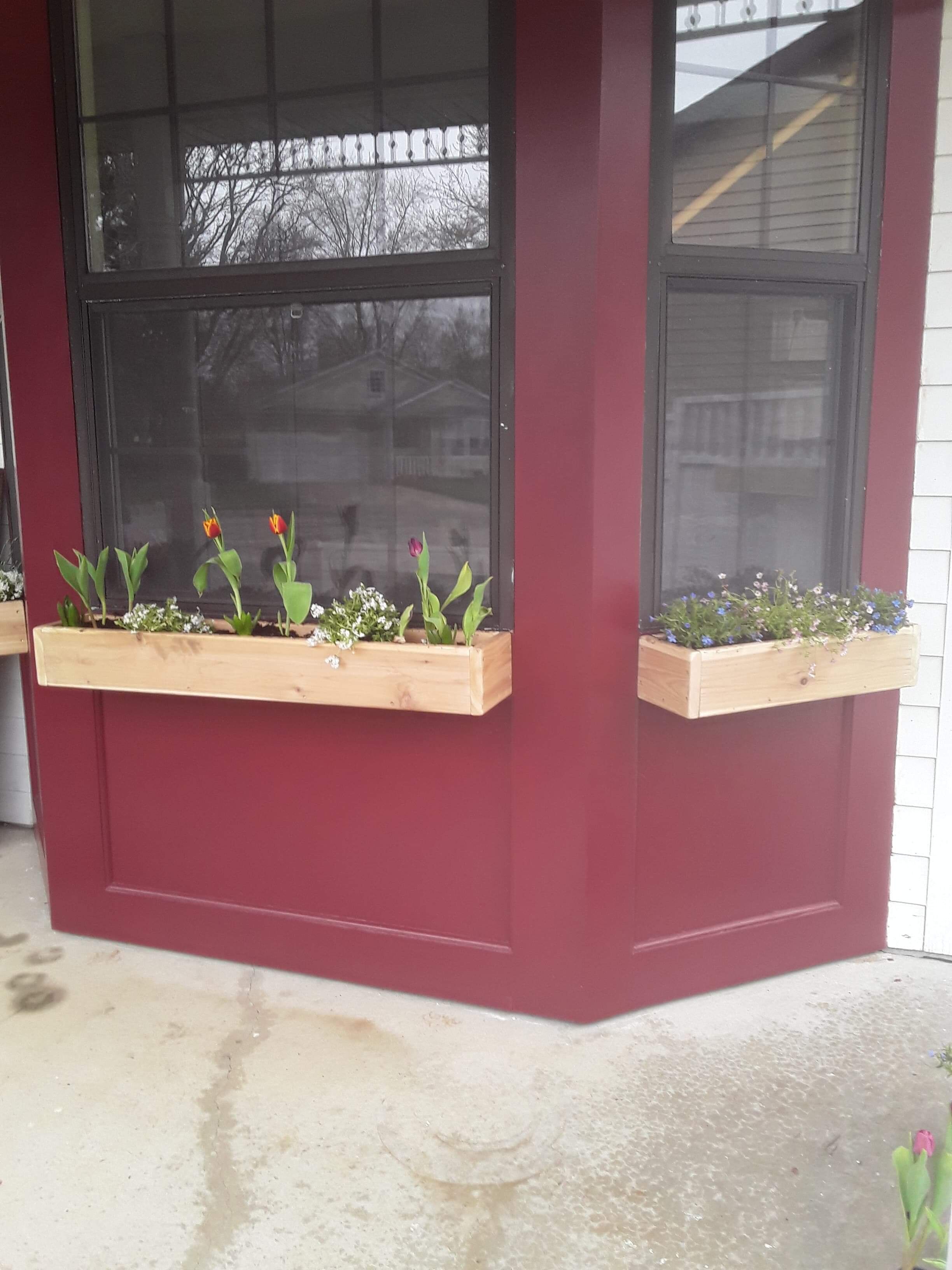 Flower Boxes