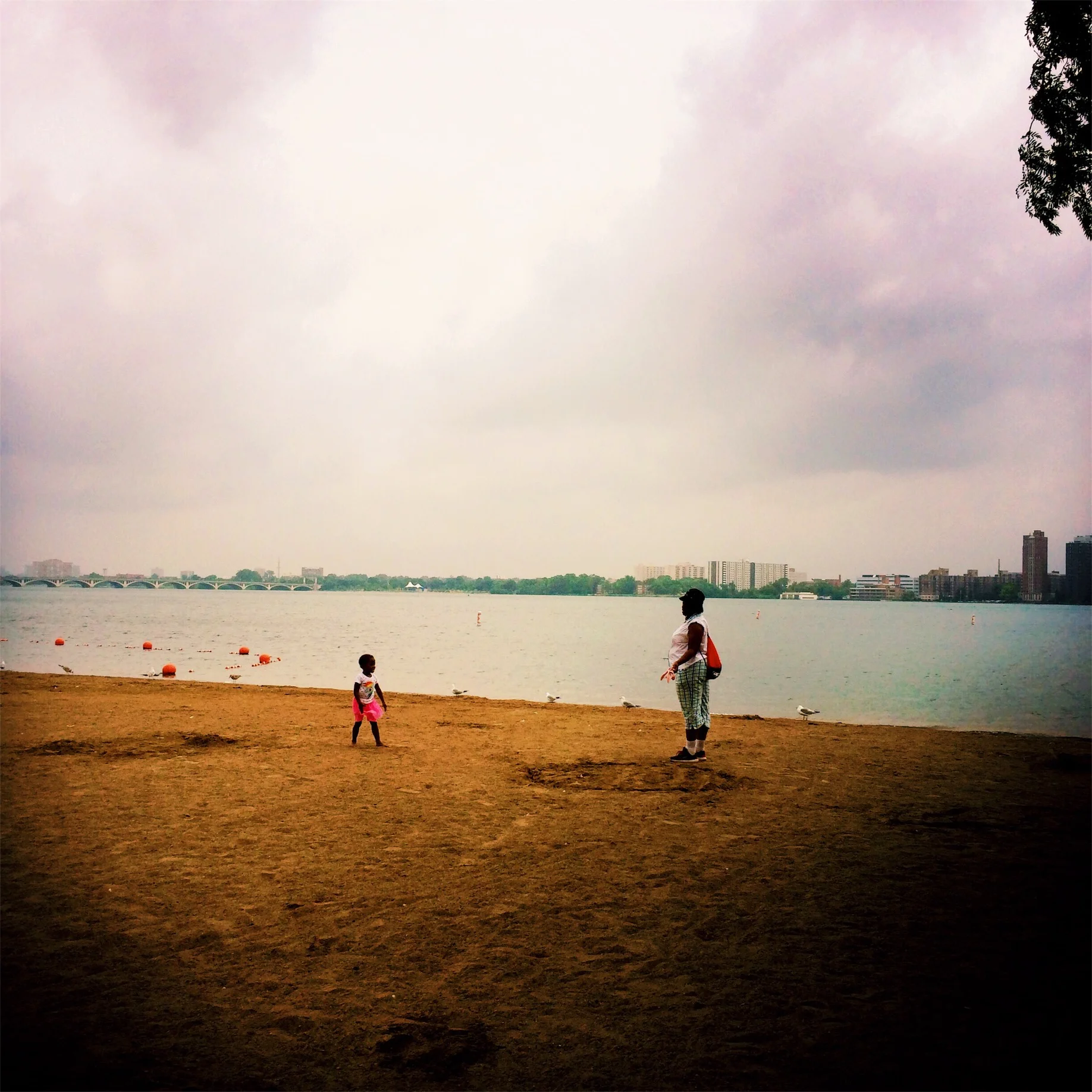 File Feb 09, 4 12 02 PM.jpeg