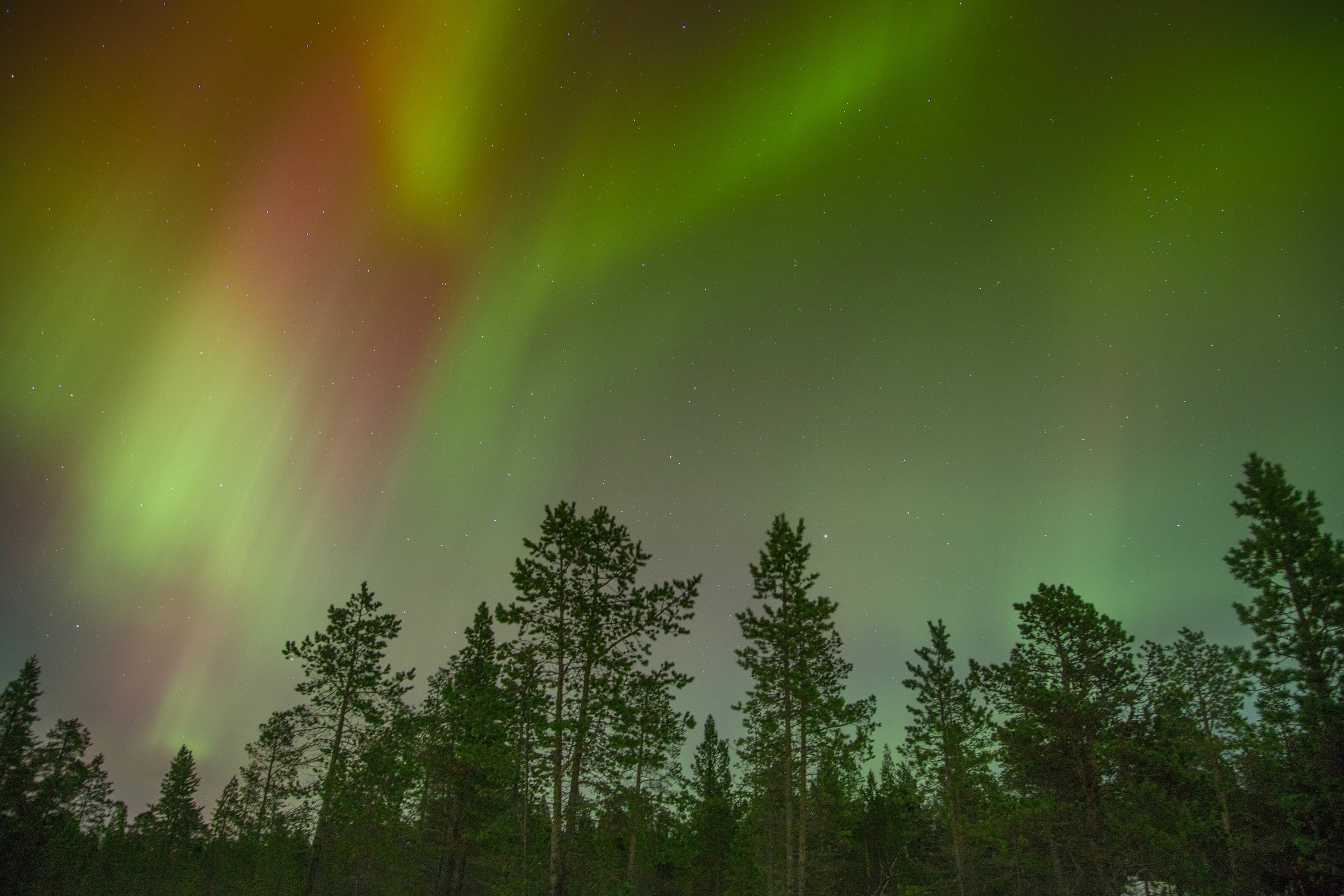 Picture of aurora in the night sky
