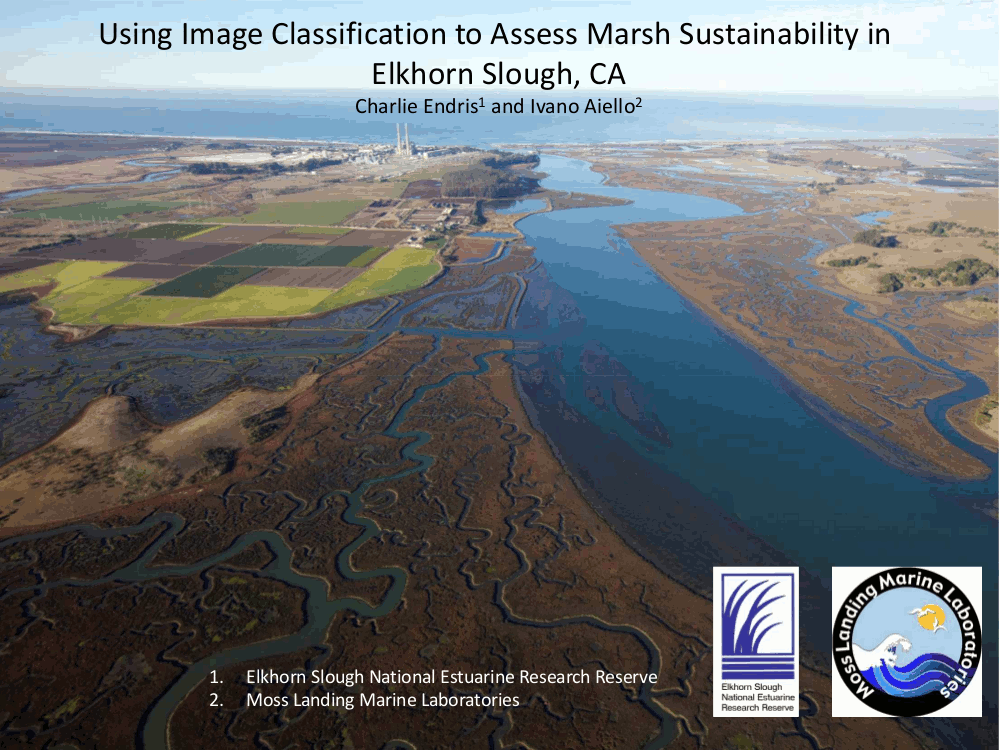 Using Image Classification To Assess Marsh Sustainability In Elkhorn Slough, CA