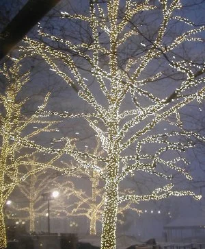 DSCN8436.jpg