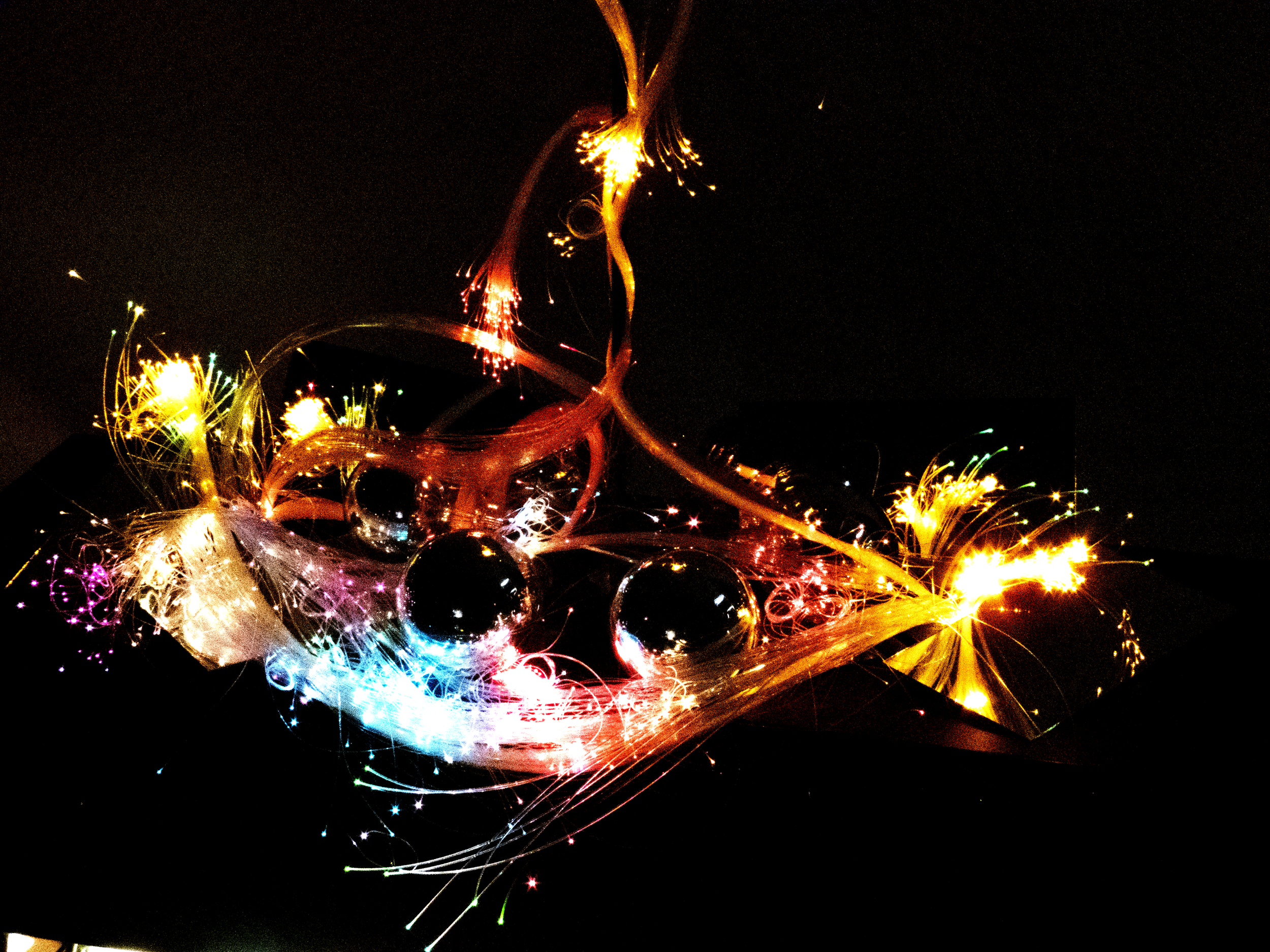 IMG_2735.png