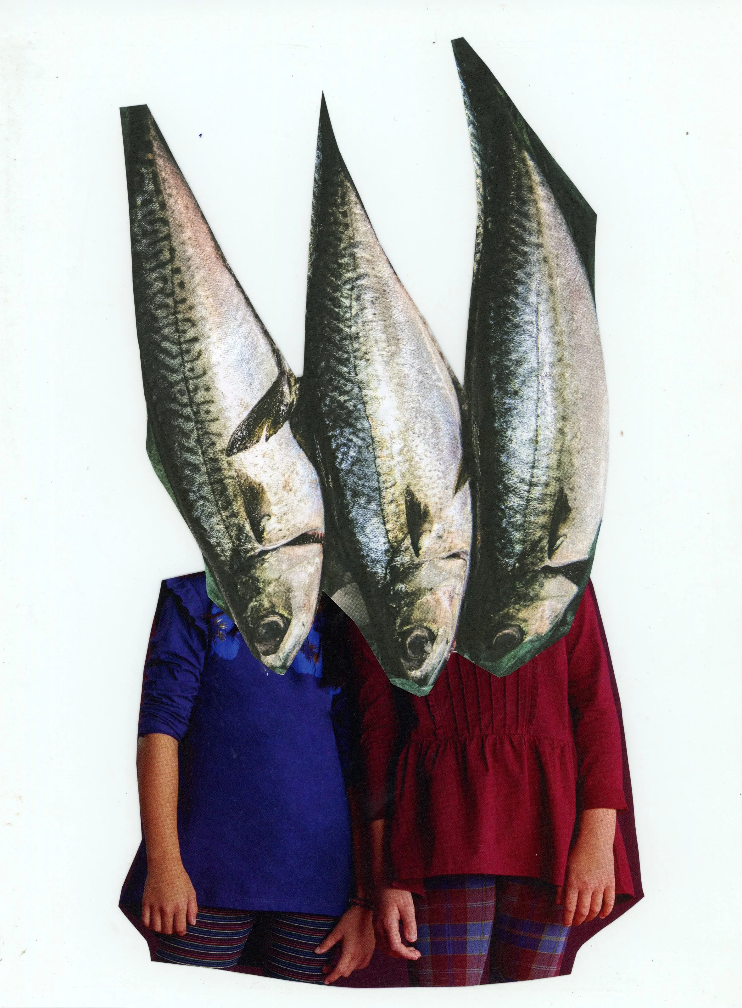 fish heads copy.jpg