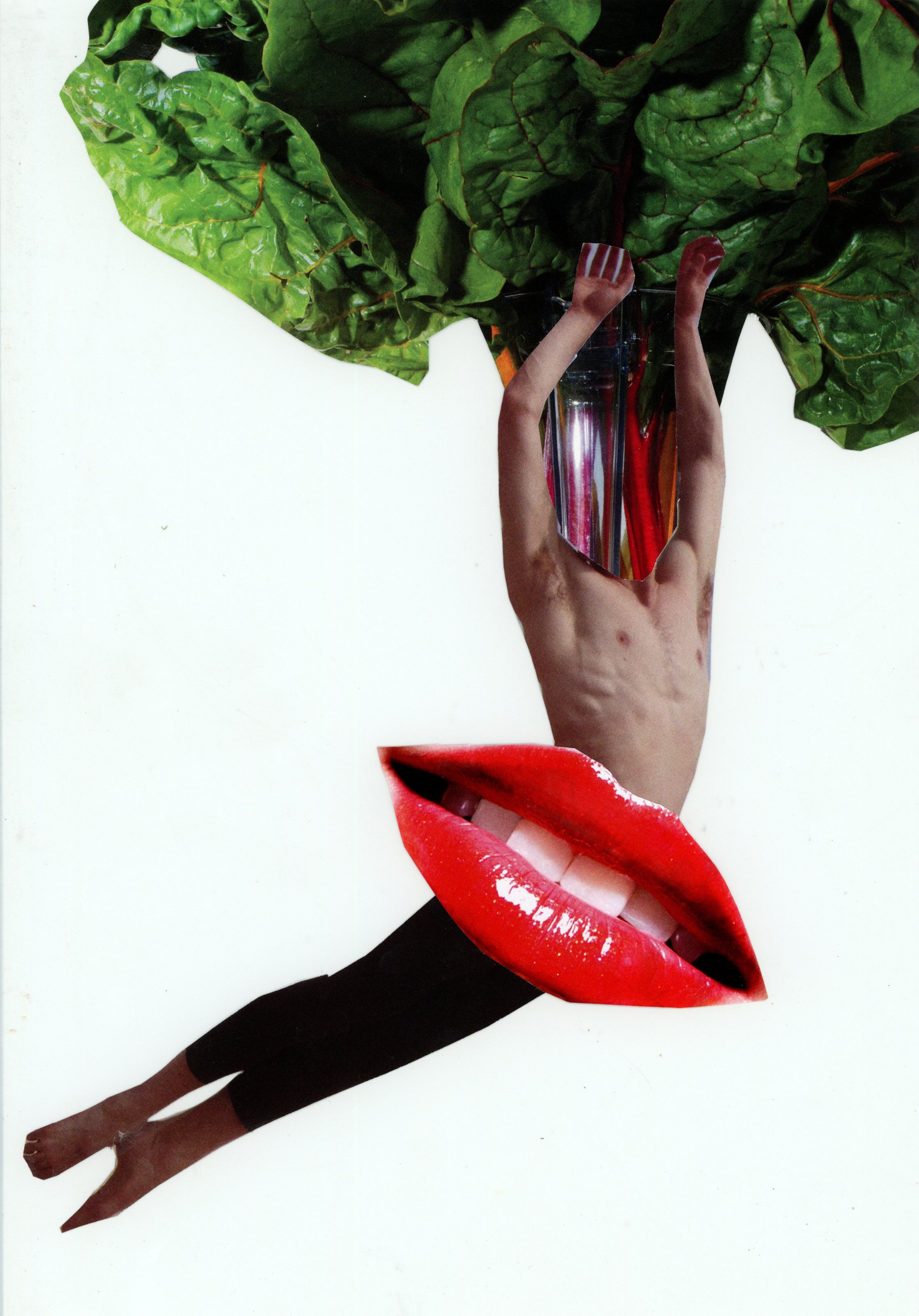 swisschard dancer copy.jpg