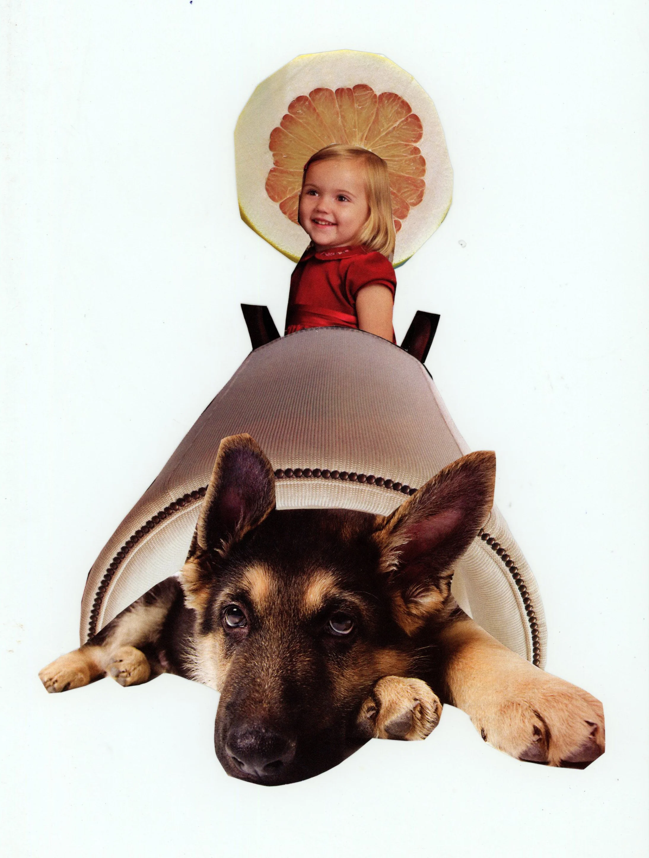 doggy.jpg