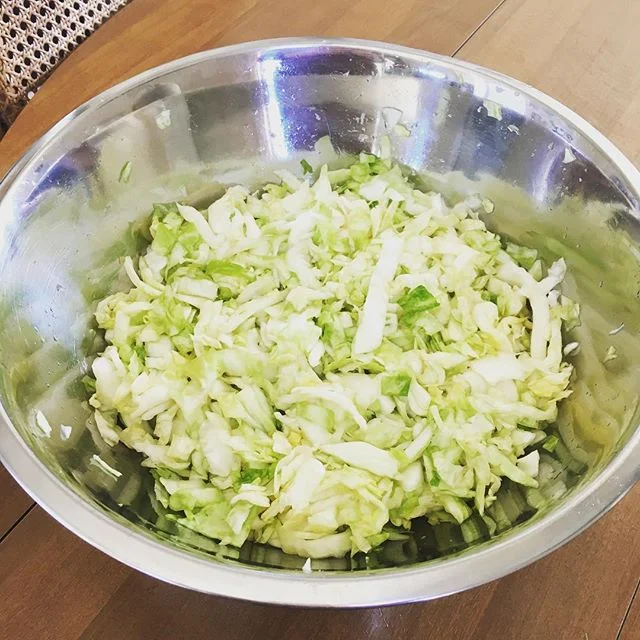 Excited to be makin my first ever batch of sauerkraut. 🙌🏻 Maybe sliced it a little too thick, but oh well. I&rsquo;ve been learning about how gut health affects mood and overall health, and coming out of that, my goal is to consume one form of ferm