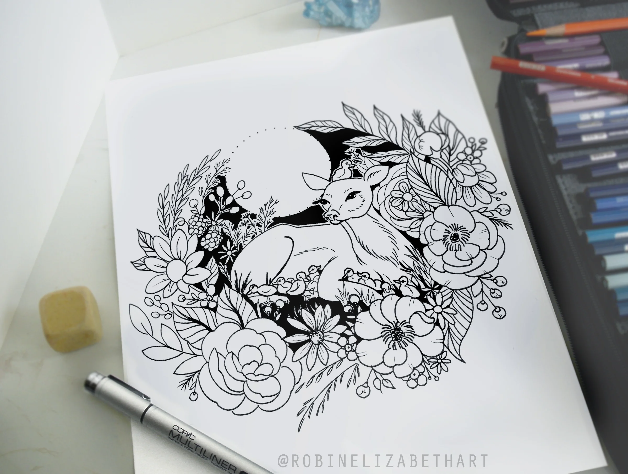 coloringdeer.jpg