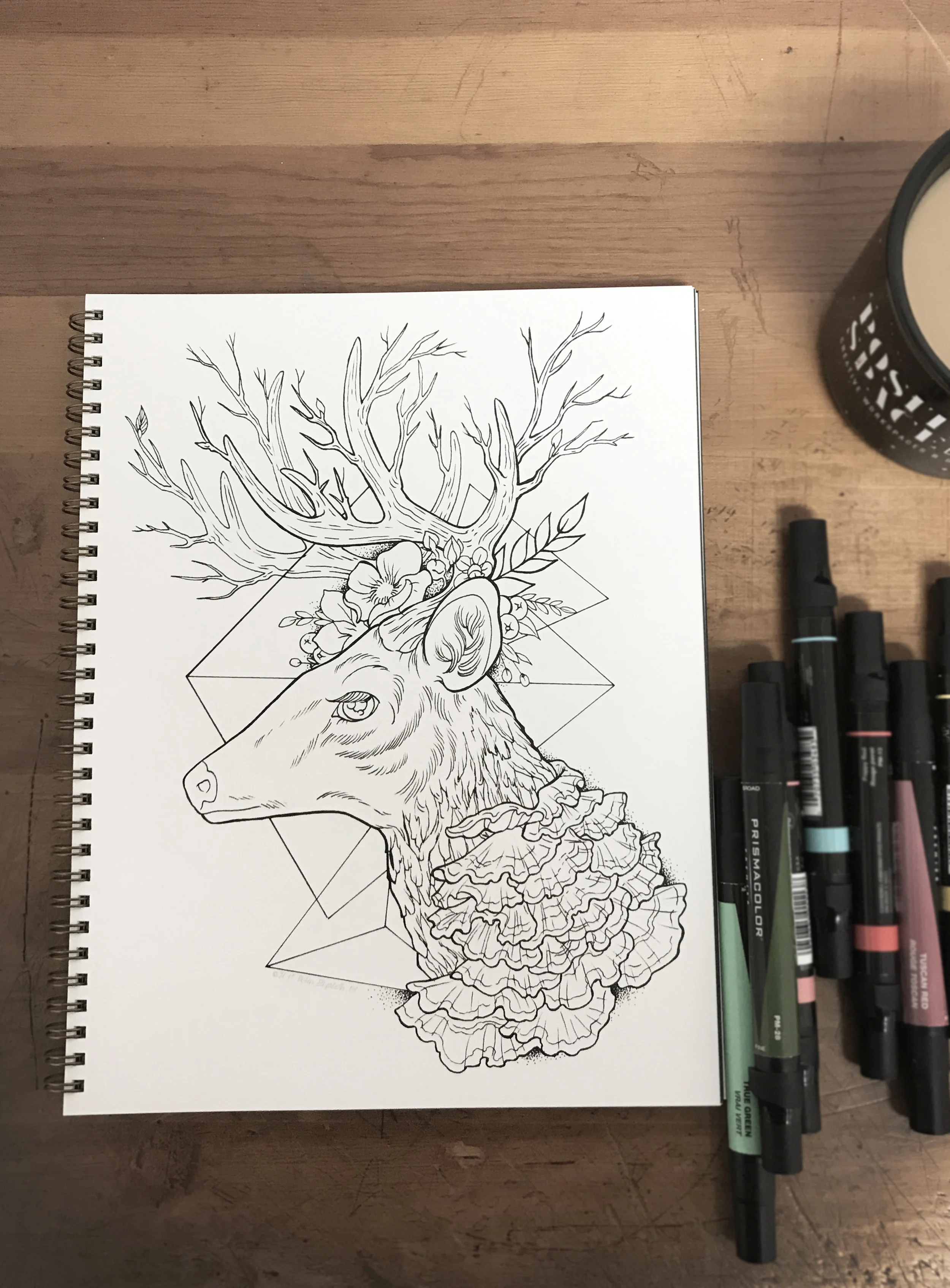 deer2.jpg