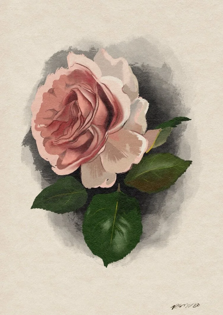 Rose copy.jpg