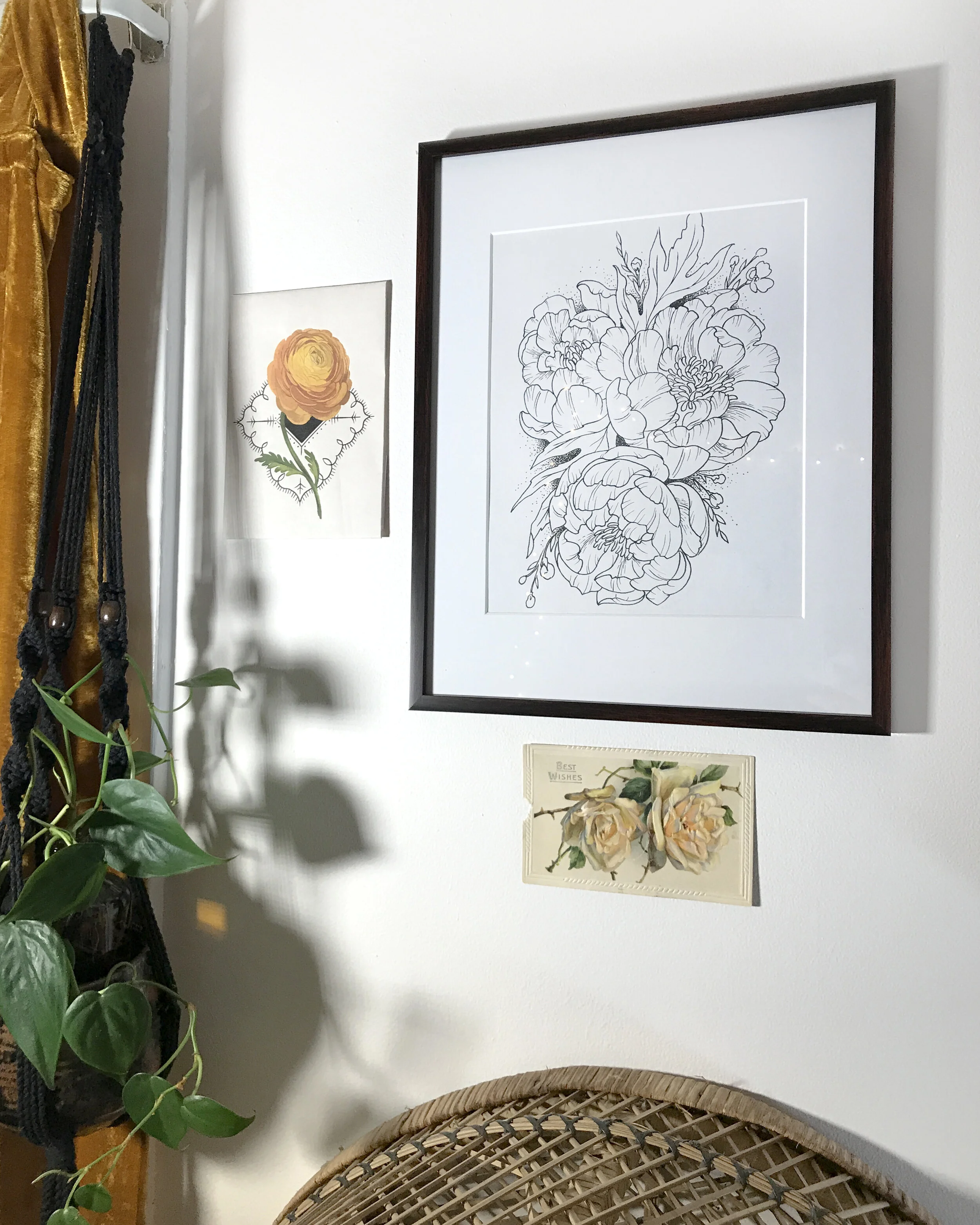 3peony1.jpg