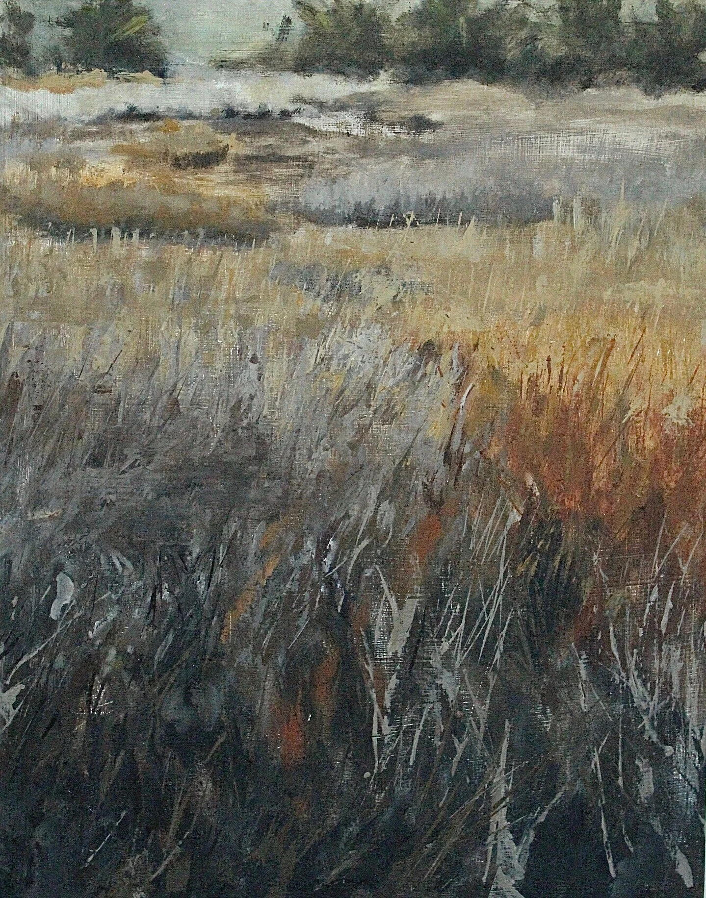  Undergrowth IV 11” x 14” $725 