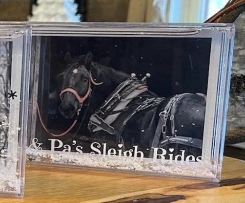 sleighrideframessnowglobe.jpg