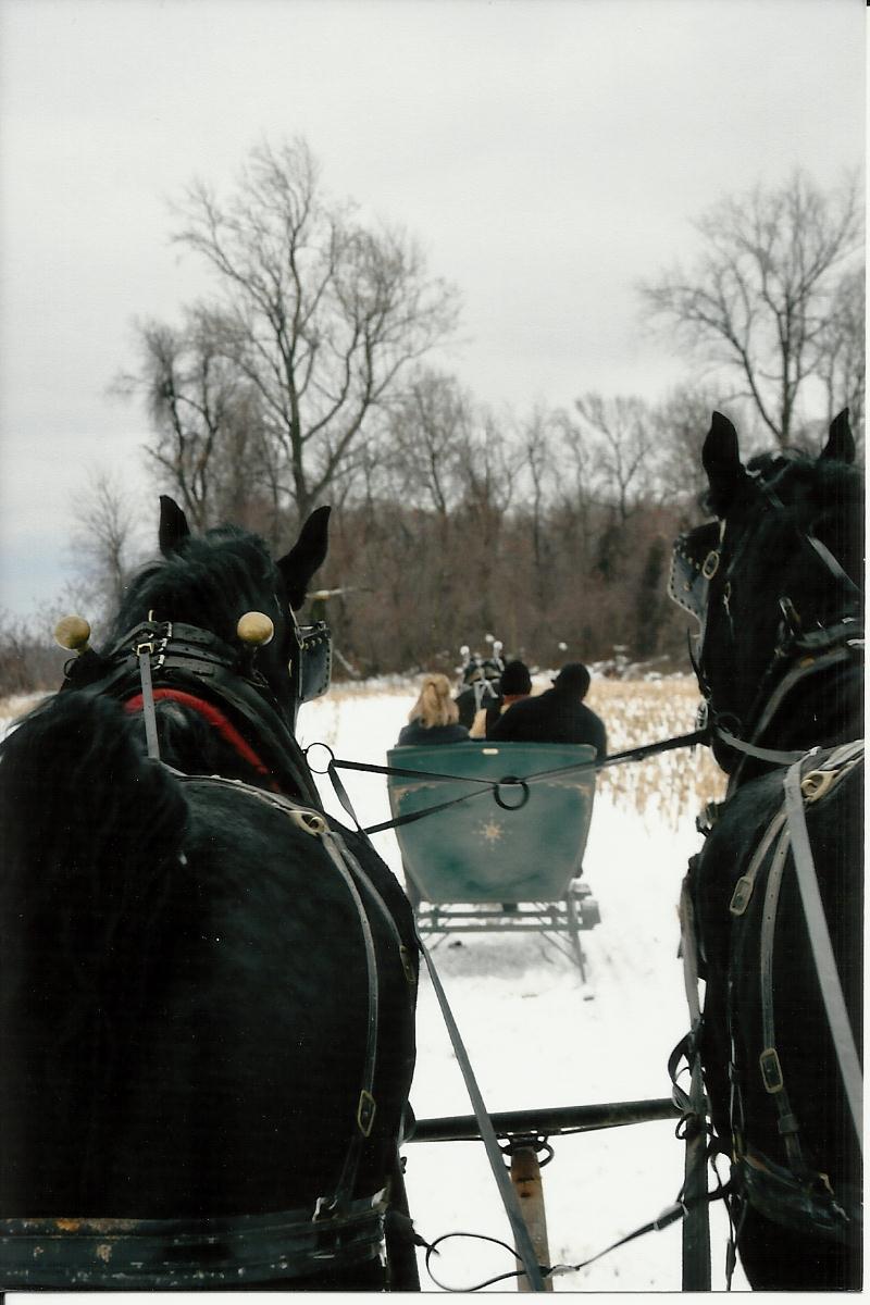 sleigh rides one.jpg