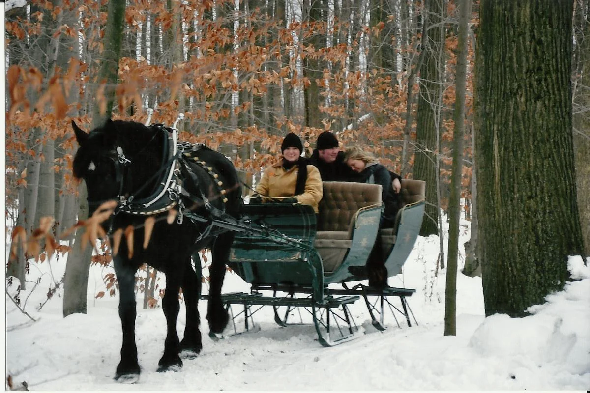 horse drawn carriage rides near me