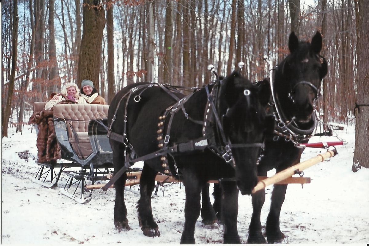 sleigh page photo fifteen.jpg