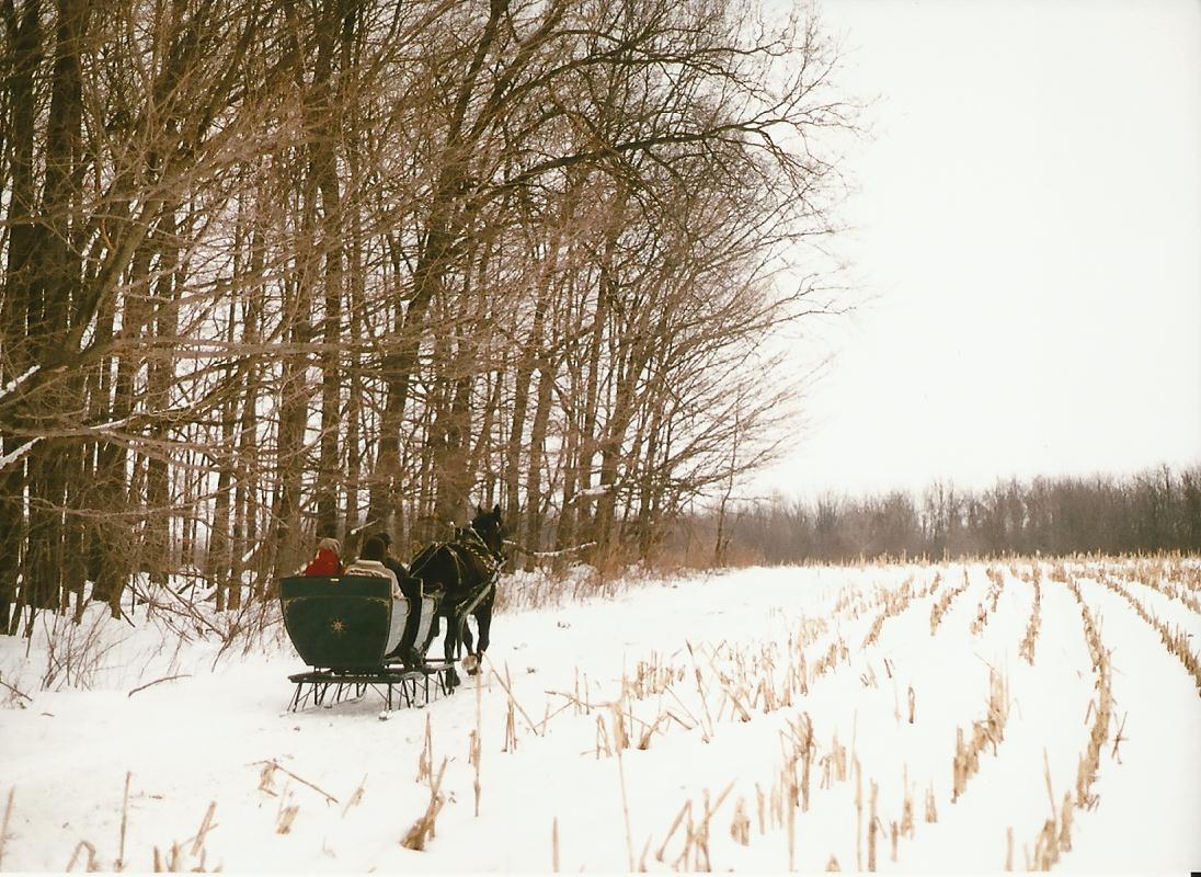 sleigh page photo nine.jpg