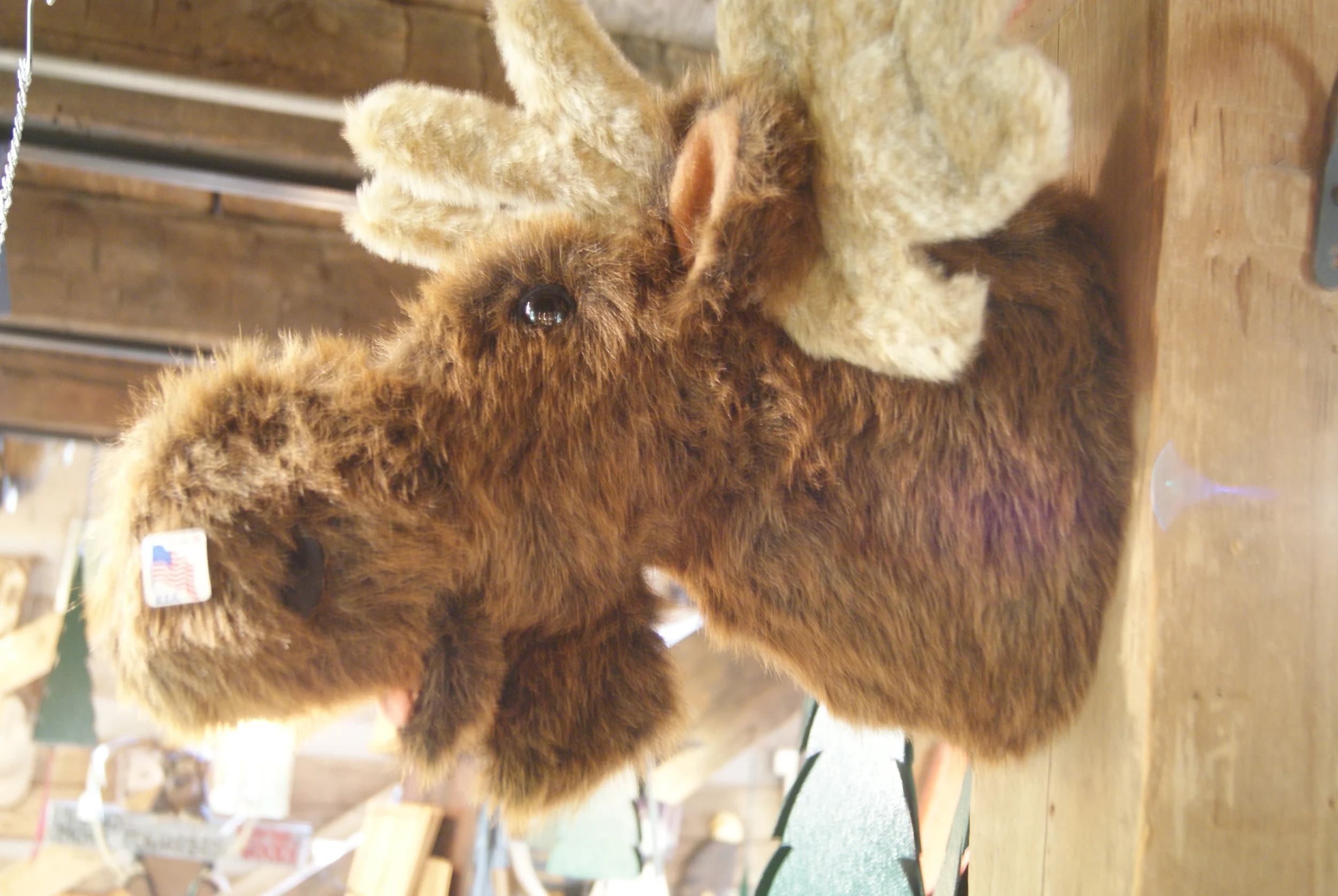 fake stuffed moose head