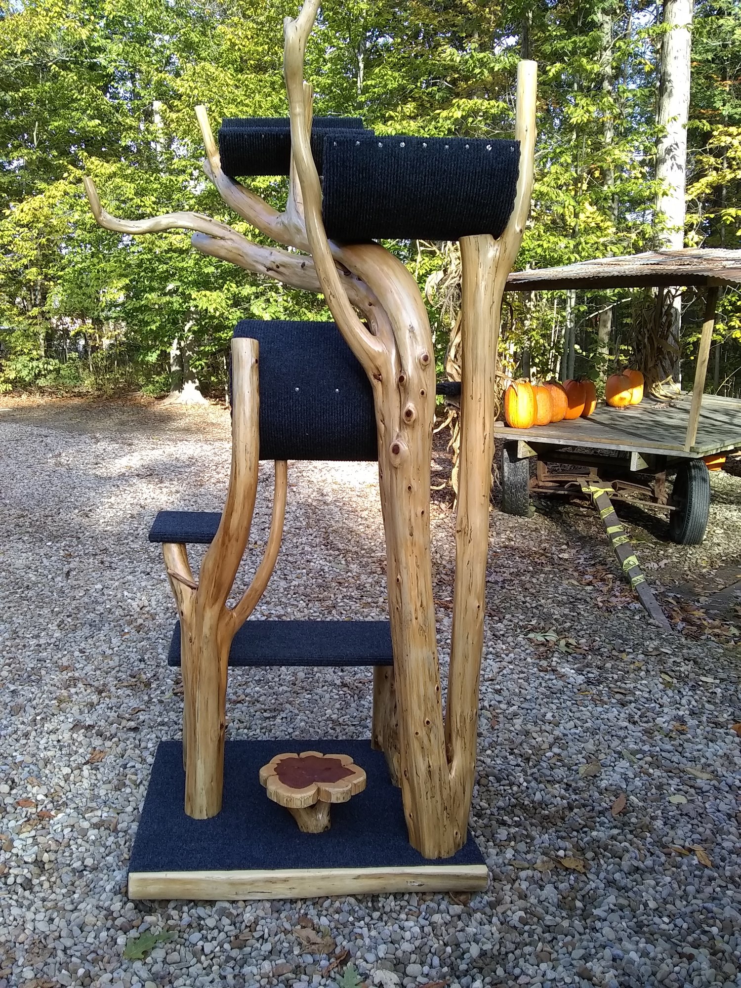 Rustic Cat Tree Ma Pa S Rustic Cat Tree Ma Pa S, Outdoor Cat Tree