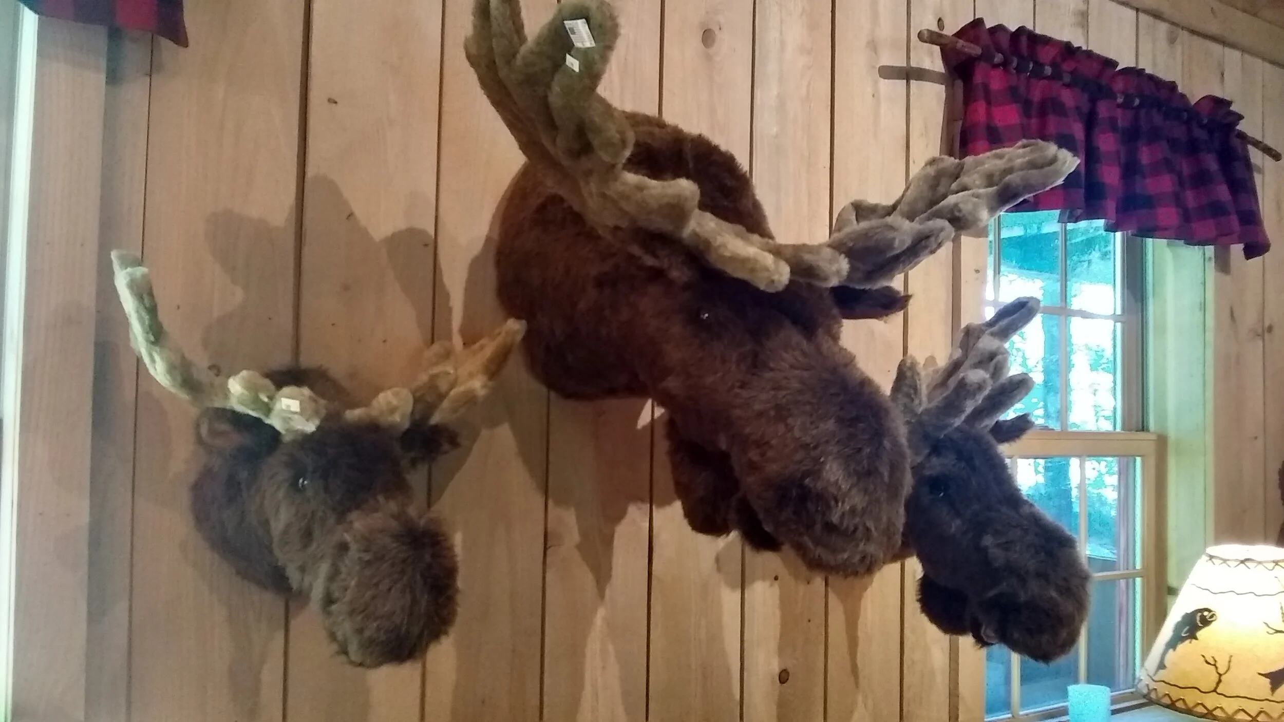 fake stuffed moose head