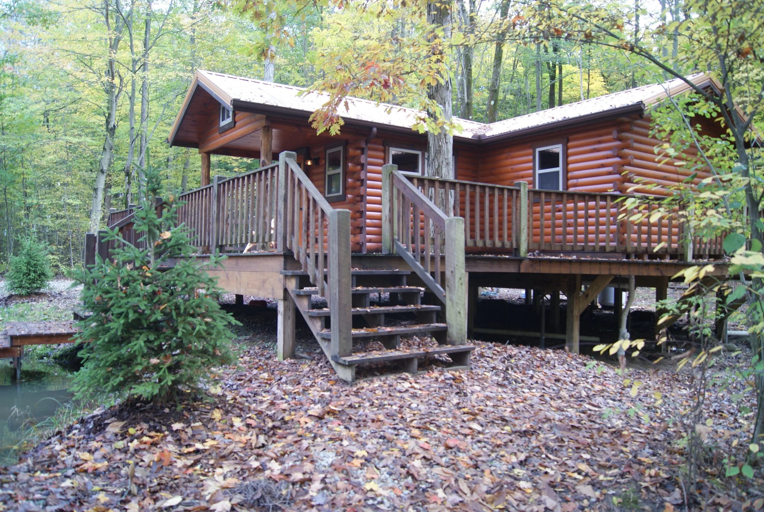 cabinoutside11.JPG