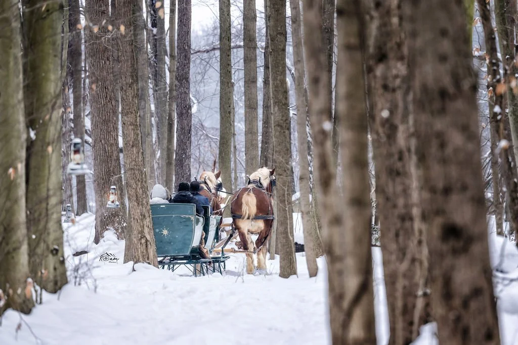 Sleigh & Carriage Rides — Ma & Pa's