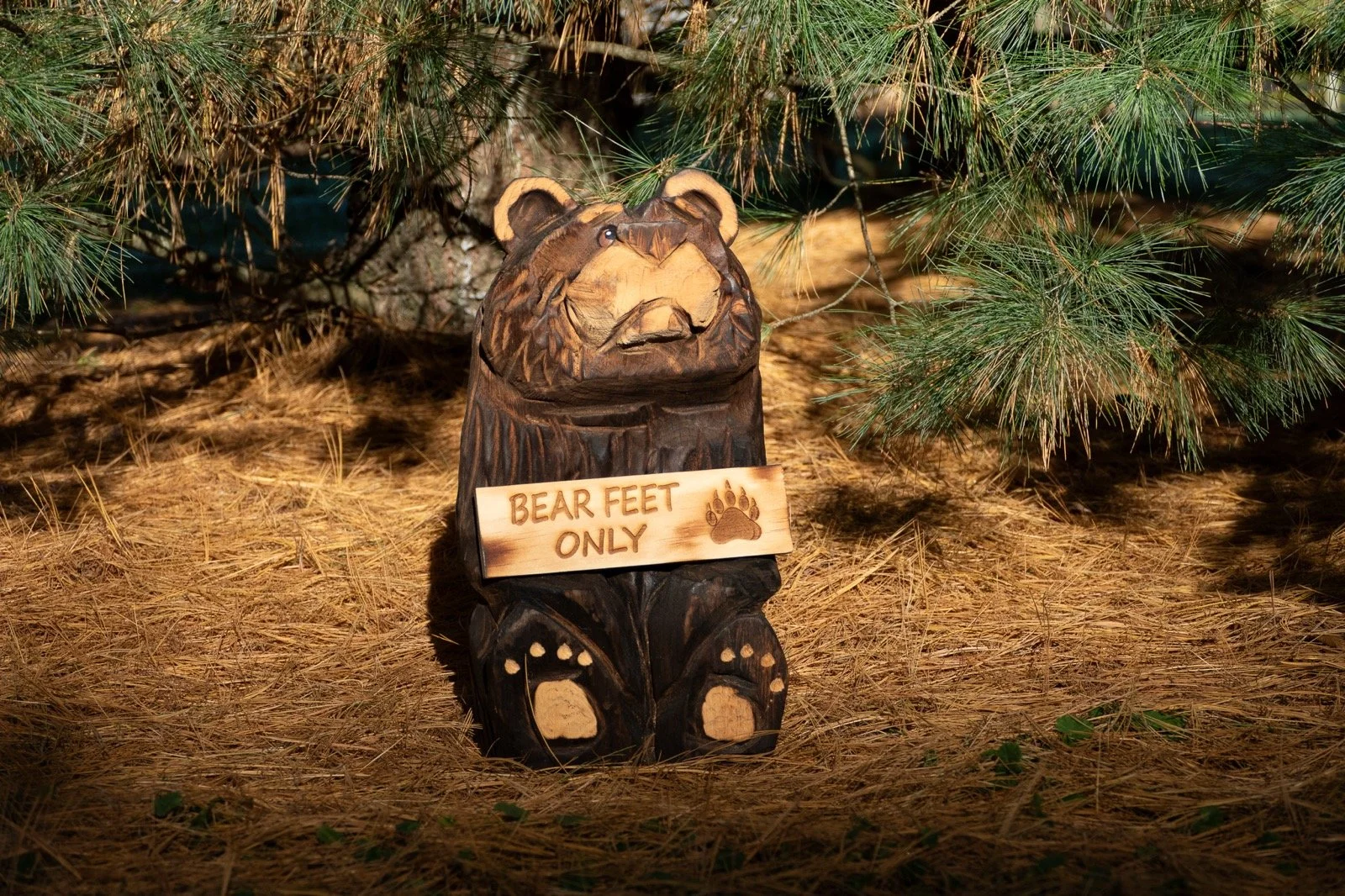 bearfeet.jpg