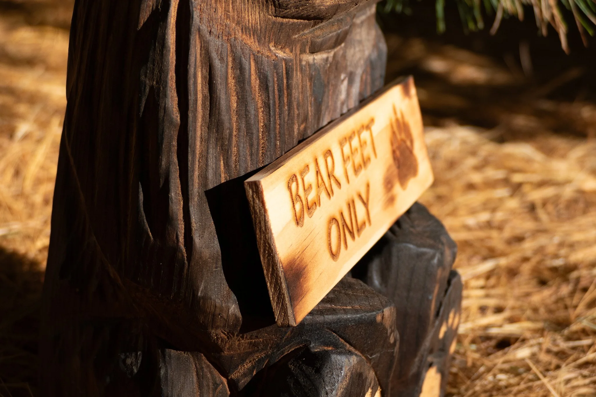 bearfeet3.jpg