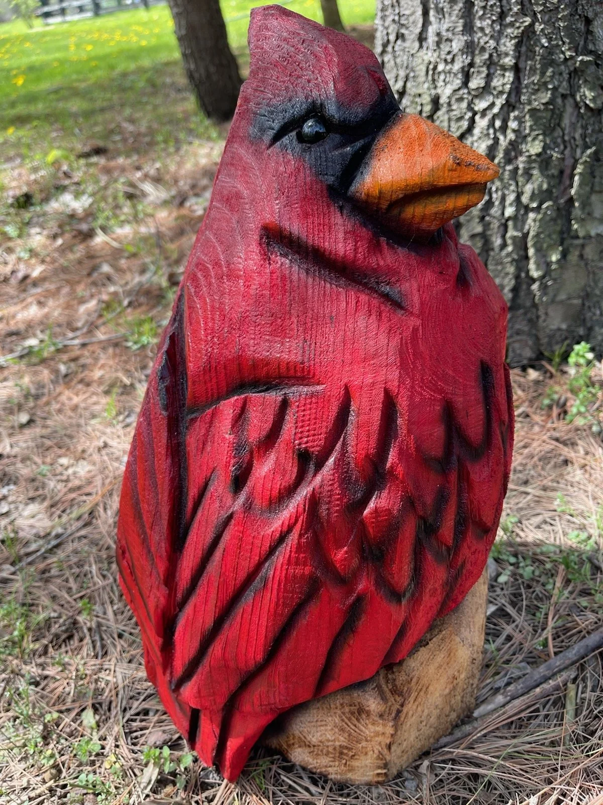 cardinal4.jpg (Copy)