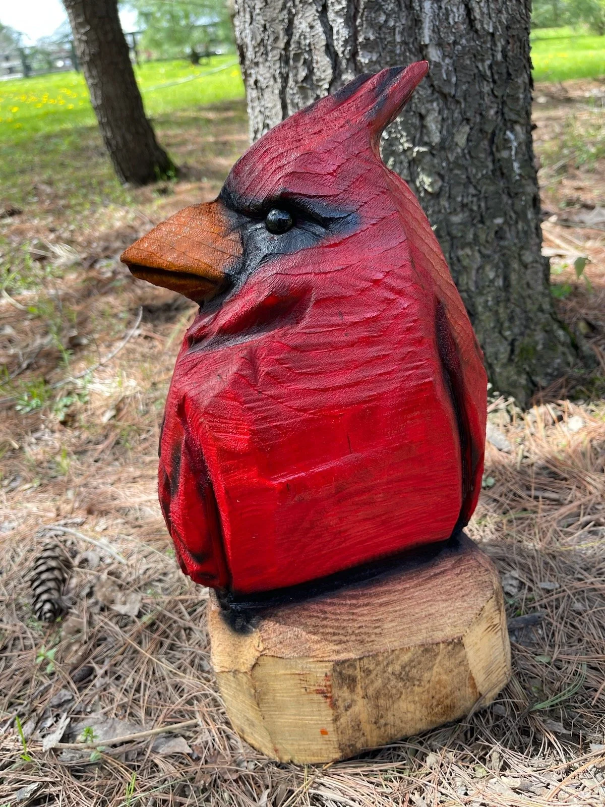 cardinal8.jpg (Copy)