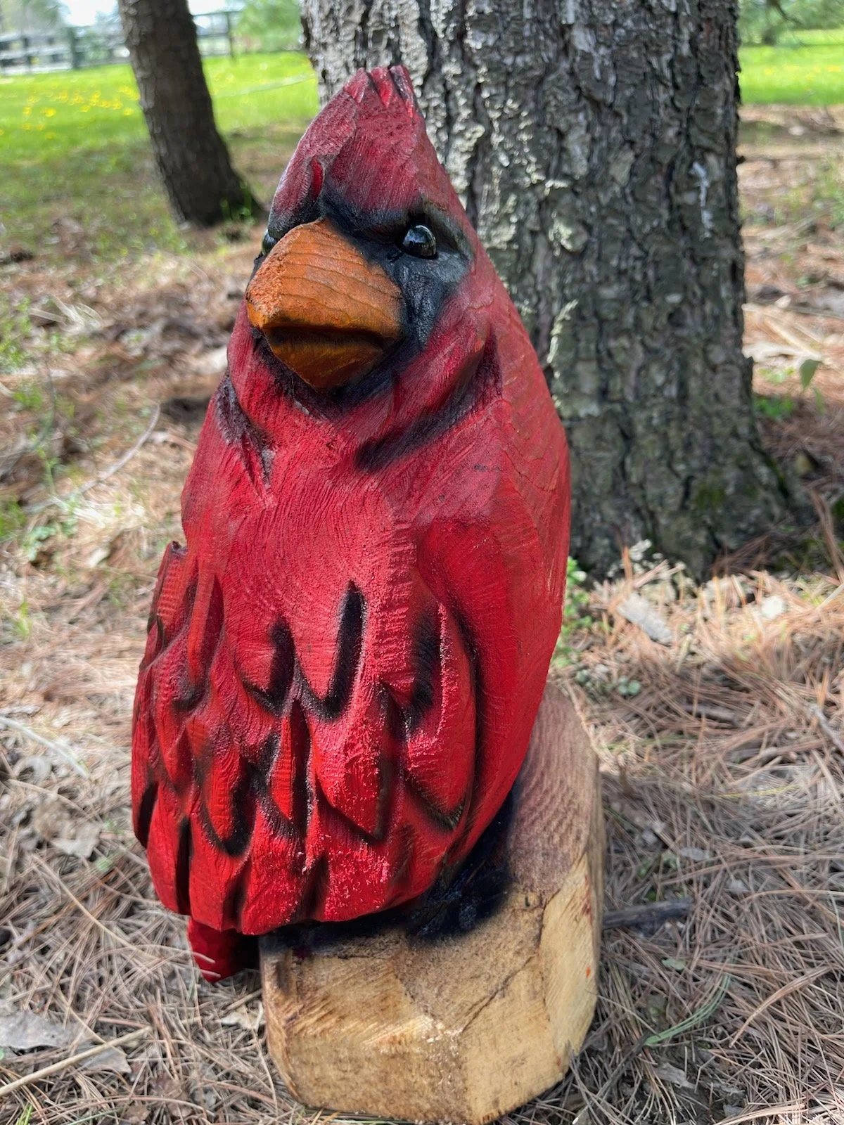 Chainsaw Carved Wood Cardinal 14-16  Inches Tall Shipped to You