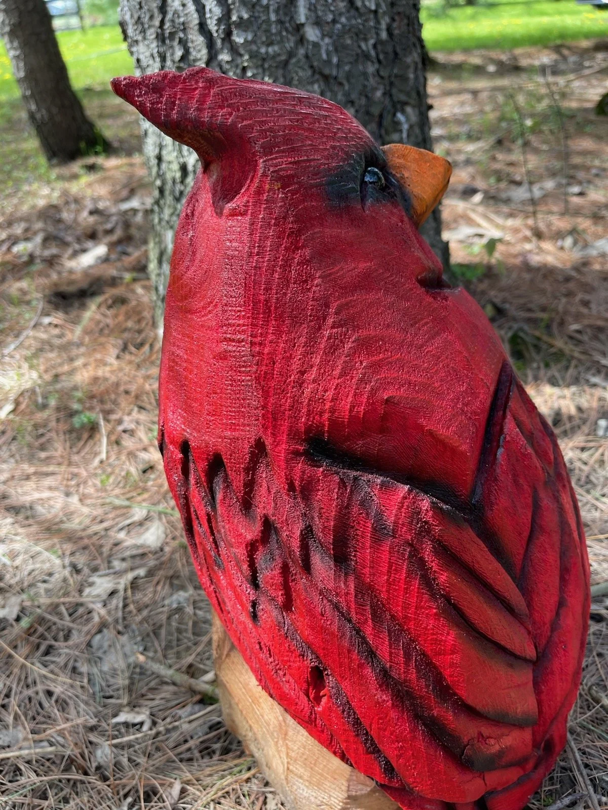 cardinal6.jpg (Copy)